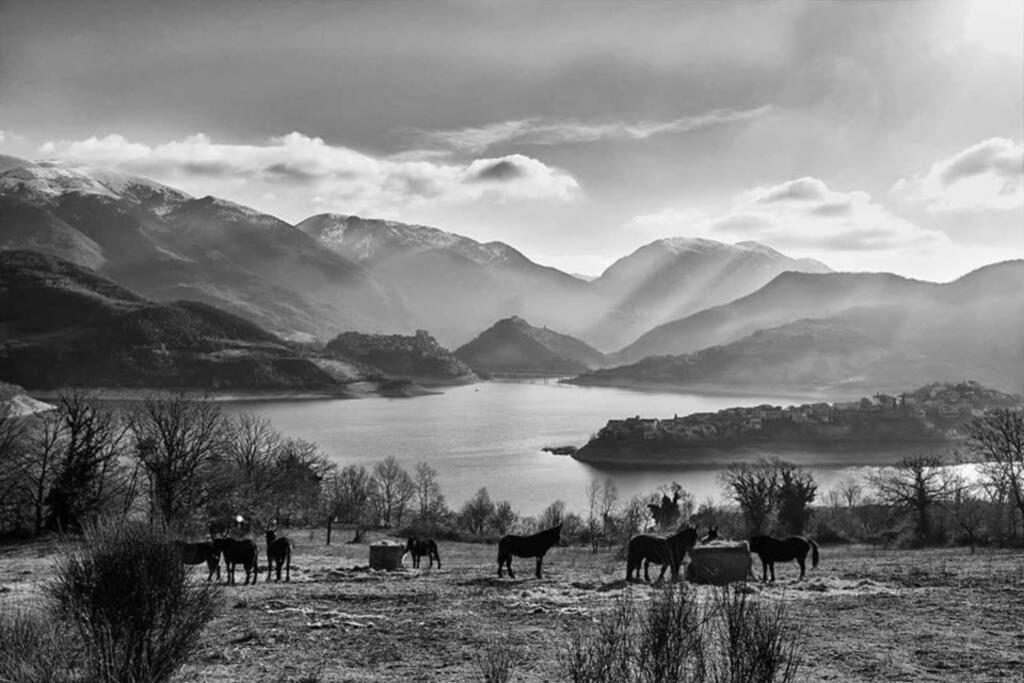 Stanza Con Terrazzo Vista Lago - Lakeholiday Castel di Tora Dış mekan fotoğraf